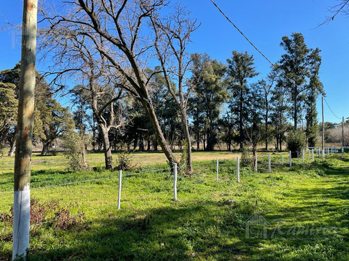 Imagen 24 de 30 de Lote Terreno En Venta 300 M2 - Parques Del Morenito, Moreno Norte