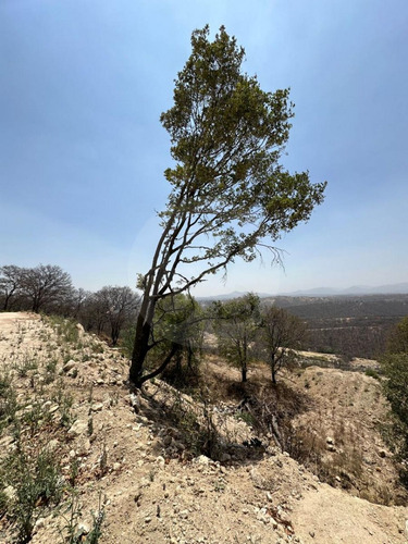 Terreno En Venta, La Concepcion, Nicolas Romero