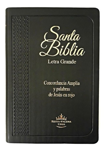 Santa Biblia Reina Velera 1960 Letra Grande Concordancia