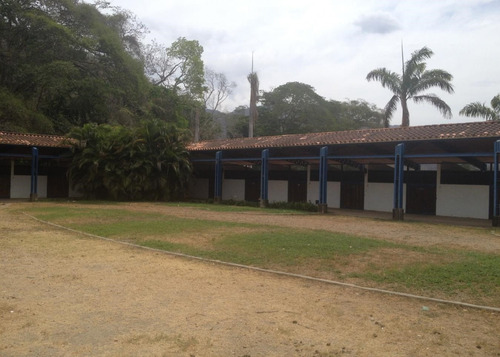 Imagen 13 de 14 de Se Vende Hacienda Agropecuaria