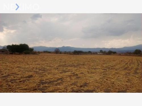 Imagen 3 de 5 de Oportunidad De Inversión Temixco, Morelos. Zona Conurbada De Cuernavaca Mx17-de5821 7124