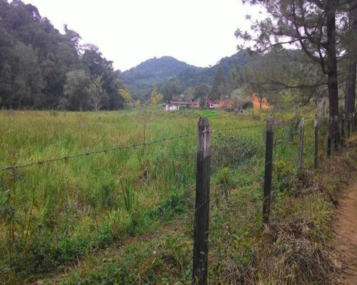 Imagem 15 de 30 de Fazenda - 0195 - 32820324