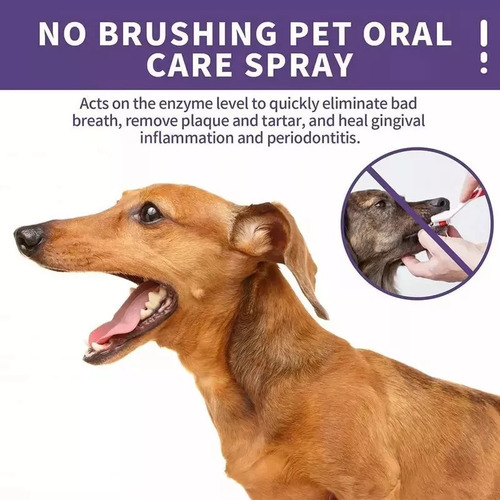 2 Unidades De Aerosol Antisarro Power Clean Para Perros Y Ga