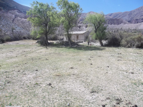 Purmamarca Terrenos Y Fincas