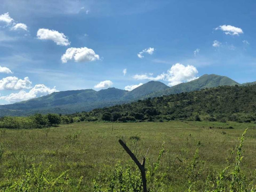 Imagen 7 de 22 de Finca En Tinaquillo Con 132 Hectáreas, Excelente Oportunidad