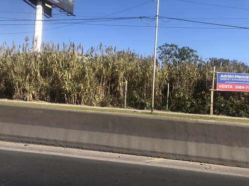Imagen 3 de 5 de Excelente Fraccion - Terreno De 12.000 M2 En Avellaneda