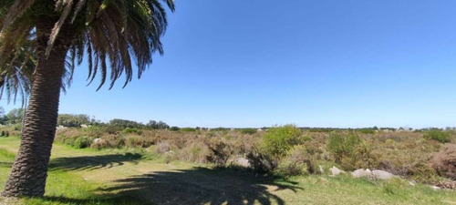 Imagen 5 de 5 de Campo En Venta Sobre Ruta 1 Para Fraccionamiento