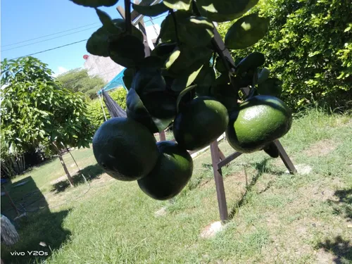 Vendo Lote En Tocaima Cundinamarca