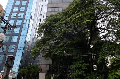 Apartamento Ponto Comercial Para Alugar Com 118m², 2 Quartos E 2 Vagas