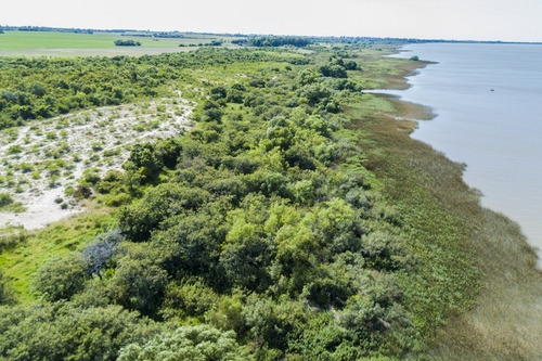 Imagen 10 de 16 de Campos Venta Carmelo Sobre Río De La Plata