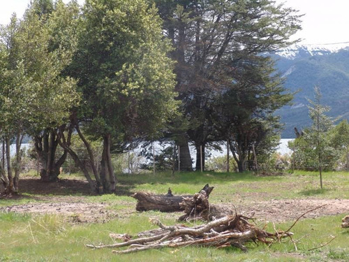 Imagen 24 de 24 de Fabienne Edelberg Fe Propiedades Venta 1/2 Hectérea Sobre Lago Meliquina - Peninsula Con Casa