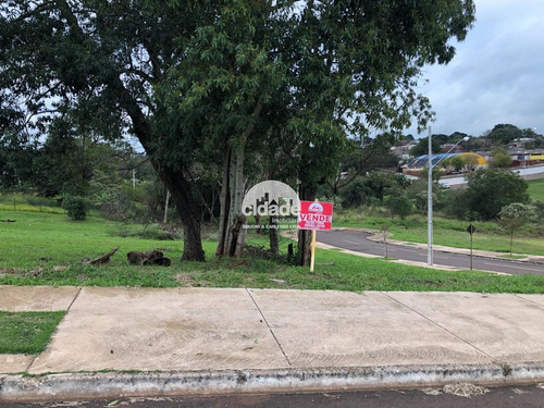 Imagem 3 de 6 de Terreno À Venda, Novacap - Cascavel/pr - 12092