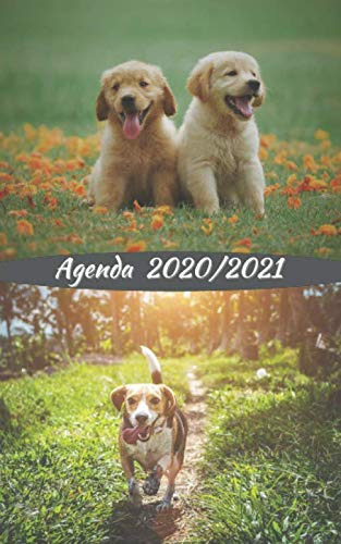 Agenda Perro - Dog - Chien Curso Lectivo 2020-2021 Español