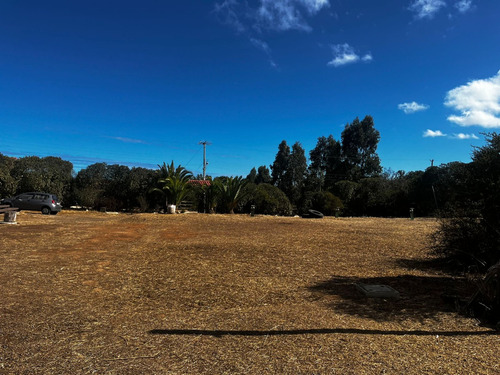 Valle Alegre, Quintero