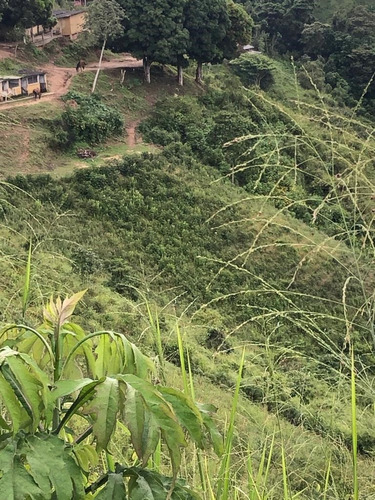 Venta De Lote De Terreno En Sabaneta Del Hatillo, Mcpio El Hatillo, Caracas. Mr