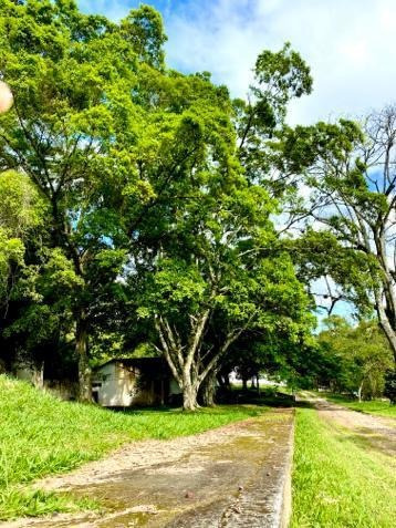 Imagem 2 de 6 de Terreno Urbano Em Condomínio Fechado Para Venda Com 350 M² | Barreiro | São Paulo Sp - Tec53499v