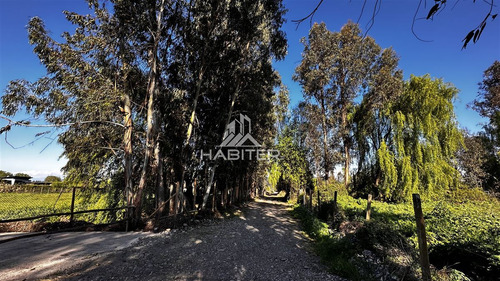 Oportunidad! Parcela Plana En Venta En Zapallar Curicó Km 4