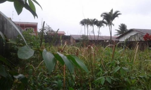 Imagem 1 de 2 de Lote No Litoral Medindo 480 M², Em Itanhaém/sp 6150-pc