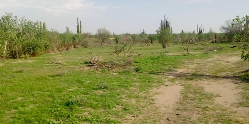 Terreno En Venta Colonia Rio Lerma, Comondu Bcs