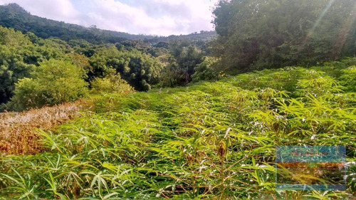 Imagem 23 de 23 de Terreno À Venda - Vila Nova - Porto Alegre/rs - Te0153
