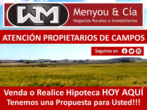 Venta Compra Campo 200has 2500has Agricola Forestal Ganadero