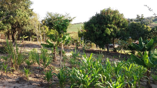 Imagem 5 de 11 de Chácara À Venda Em Chácaras Planalto - Ch008993
