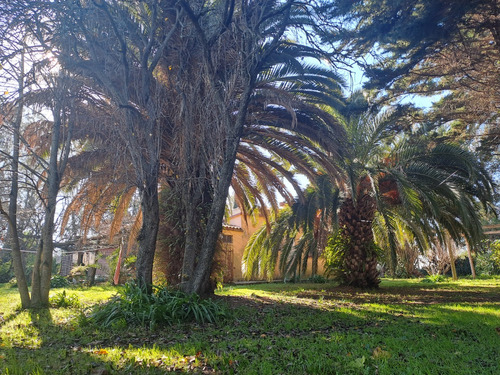 Dueño Vende Linda Casa En Hermoso Espacio Verde, Parque Jardin