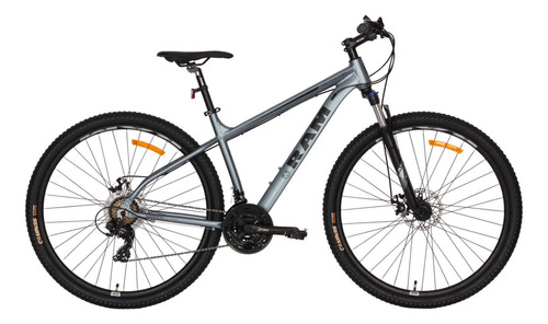 Bicicleta: Ram Aro 29 Color Gris