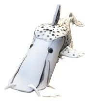 Comprar Gorro Peces Surubí Animales Marinos Cotillón Disfraces Pez