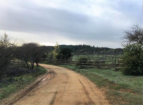 Cauquenes Viñas Y Forestal, 2 Tranques (70047)