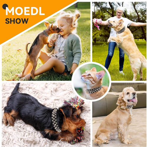 // Collar Perro Estilo Punk Para Perros Medianos Grandes