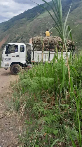Vendo Finca Con Cultivo De Caña