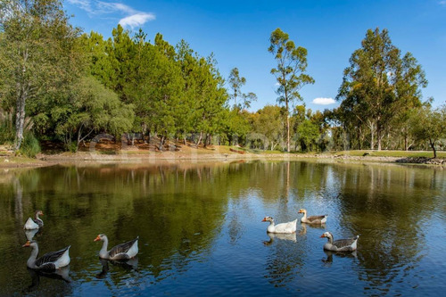 Terreno En Venta En Tapalpa, Rancho Pinto
