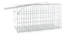 Comprar Gaiola Armadilha Gatoeira Grande Para Gatos Porta Automática