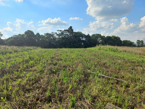 Imagem 14 de 21 de 03o- Inacreditável Terreno Em Uma Cidade Boa Pra Você