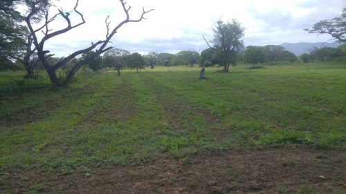 Imagen 3 de 27 de Se Vende Finca Hacienda En Estado Zulia, Ml
