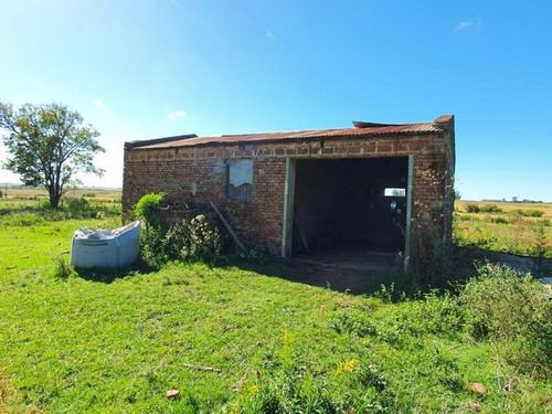Imagen 10 de 30 de Molino Doll, Campo De 9 Hectáreas Con Casa, Sobre Ruta Y Con Costa De Arroyo
