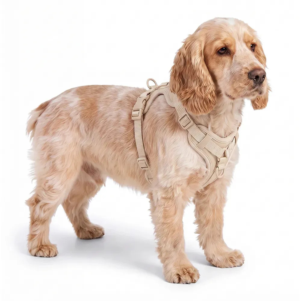 Arnés Para Perro Gadnic Ajustable Resistente Paseos Seguros M Beige