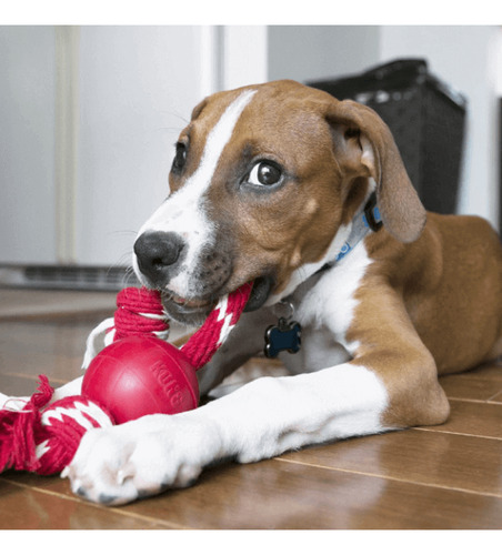 Kong® Ball With Rope Small Para Perros