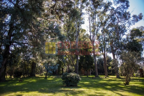 Imagen 12 de 25 de Cañuelas-casa Quinta En Venta