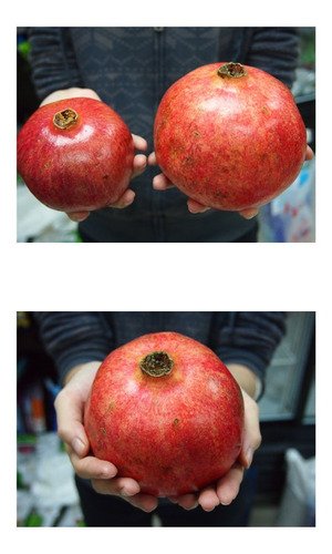 Romã Gigante Pomegranate Punica 10 Sementes Fruta Para Mudas