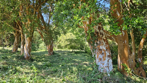 Parcela Venta Expectacular Vista A Volcanes 37km Puerto Va..