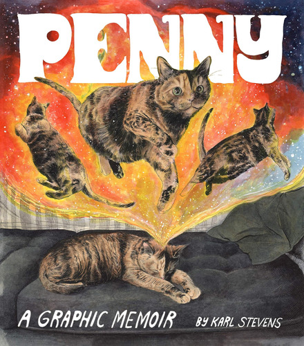 Libro: Penny: A Graphic Memoir