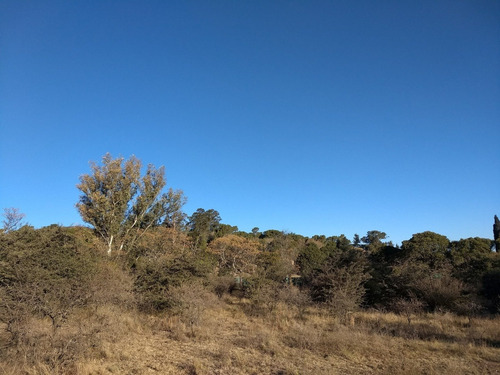 Imagen 14 de 30 de Terrenos En Las Sierras