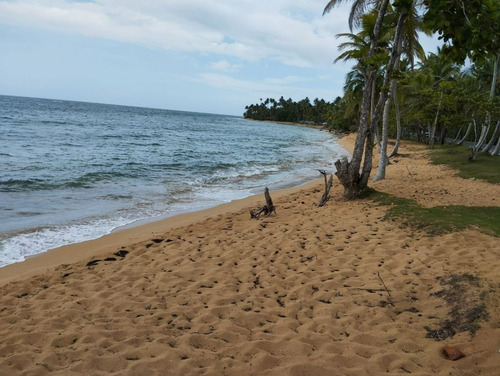 1era Linea De Playa, Las Terrenas, Samaná