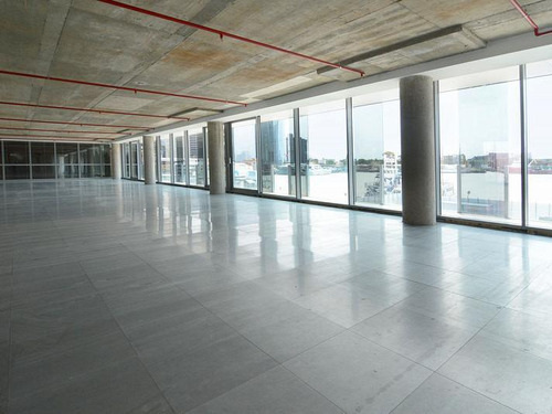 Grierson Cecilia 322 5º 6º