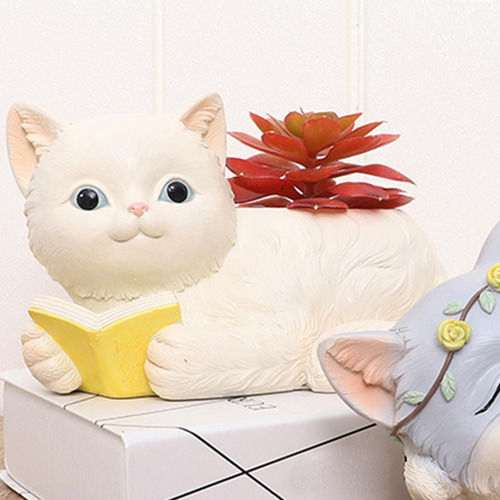 K Maceta De Flores De Gato Plantas Suculentas Bonsái Estilo