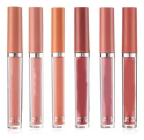 Comprar Labiales Mate Set De Labiales Labiales Mayoreo Impermea