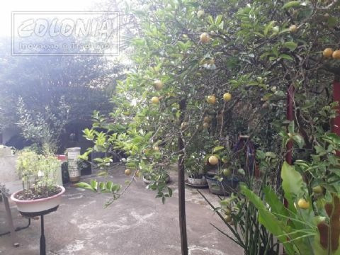 Imagem 5 de 23 de Casa A Venda - 3545505