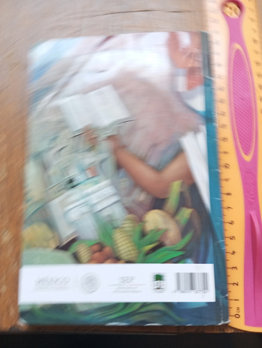 Español Libro De Lectura, Cuarto Grado (Usado)